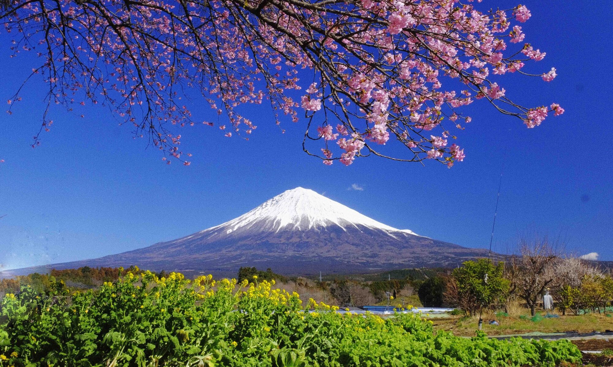 日蓮宗大本山 法華本門寺根源 – 六老僧 白蓮阿闍梨日興上人御開山